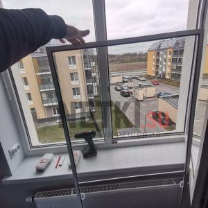 file_1281-1