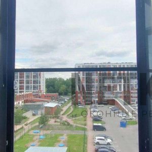 file_1955