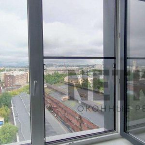 file_2050